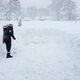 Illustration for article titled Buffalo Snow Update